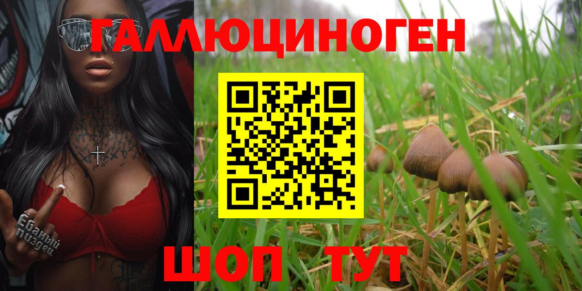 Галлюциногенные грибы Magic Shrooms Подольск